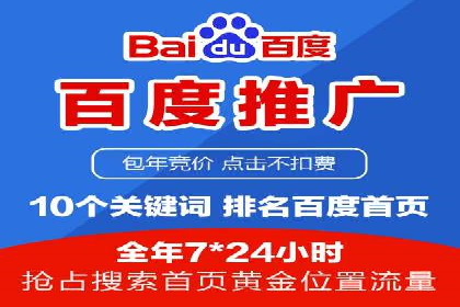 网络推广中的竞价广告：成功案例解析